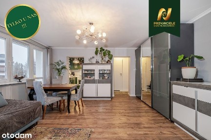 Gdańsk Przymorze 2 pokoje, student, obcokrajowiec