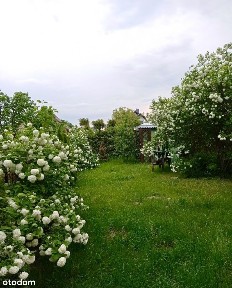 Poznań Szczepankowo - dom z ogrodem