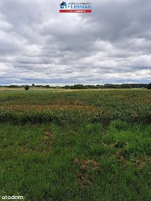 dom na sprzedaż w Stajkowie gmina Lubasz