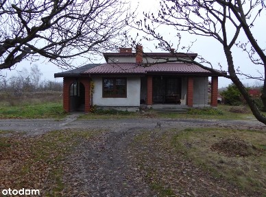 Dom: ul. Główna, Nowe Grobice