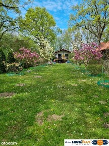 Klimatyczny domek przy Bugu na końcu świata