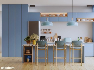 Wróciło do Sprzedaży po Starej Cenie | Skomunikowane | Park Południowy