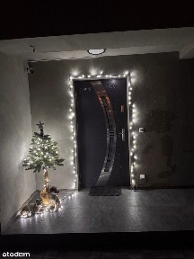 Dom wolnostojący - Zarzyce Małe