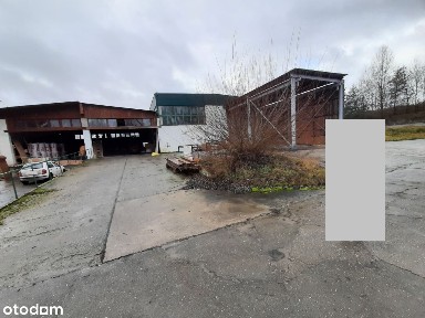 Marcinowice, Krosno Odrzańskie, krośnieński, lubuskie