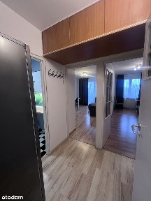 2 pokoje | Oddzielna kuchnia | Garderoba |Winogrady | 36m2 | Winda