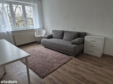 ul. Karola Olszewskiego, Biskupin, Śródmieście, Wrocław, dolnośląskie