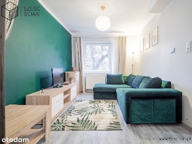 2 -pok.| Po remoncie| Piwnica| Brochów