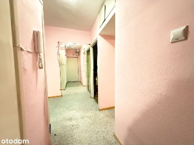 2 - pokojowe mieszkanie przy Galerii Arkadia! Świetna lokalizacja!