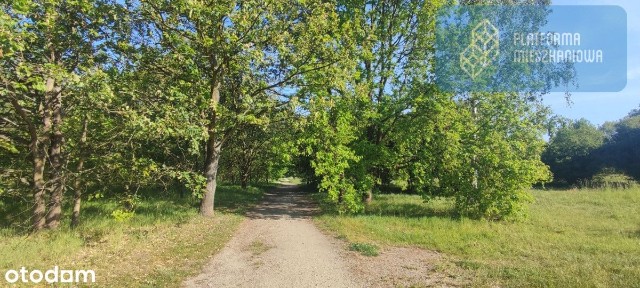 Dwustronne! Okno w kuchni! Duże szafy! Zieleń!