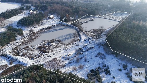 Posiadłość w lesie 