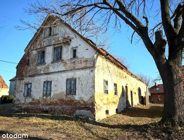 Dom do kapitalnego remontu z dużą działką!
