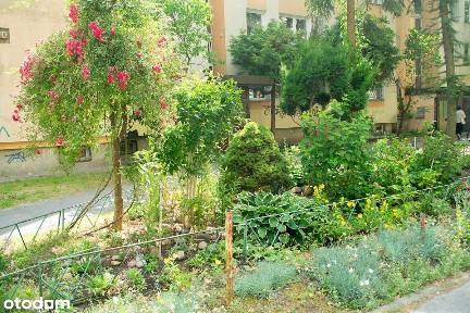 Mamy do wynajmu świeżo wyremontowane mieszkanie