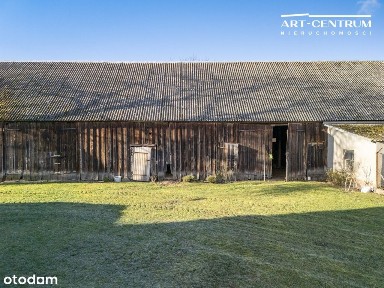 Siedlisko 11 ha w lesie - blisko Bydgoszczy