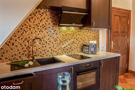 Mieszkanie na wynajem w willi-pałacu w Kątach Wr.