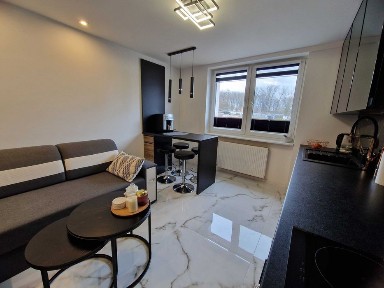 Mieszkanie w Skibnie na sprzedaż- parter