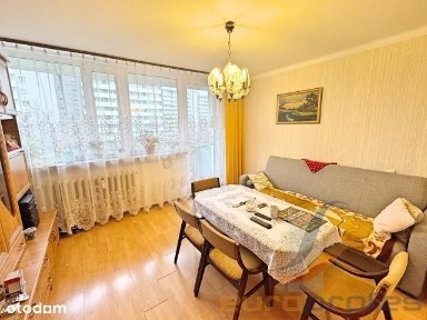 2 pokoje, Tysiaclecia