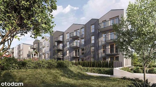 Nowe/ Nad Sarnim Stokiem/ Trzy Lipki