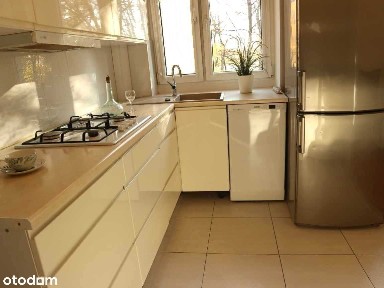 Centrum, Chorzów, śląskie