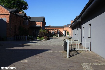 Lokal biurowo- handlowy do wynajęcia