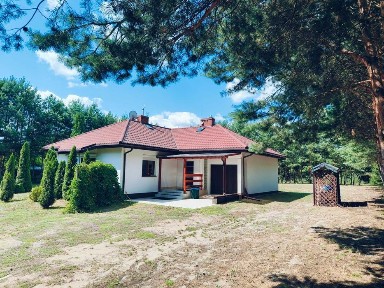 Dom w otoczeniu lasu - 100 km od Warszawy