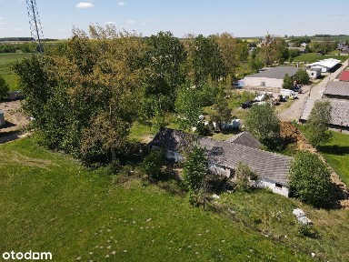 1232 m2 - murowana hala + inne, 9826 m2 terenu!