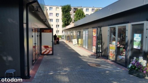 Czajki 19, Sikornik, Gliwice, śląskie