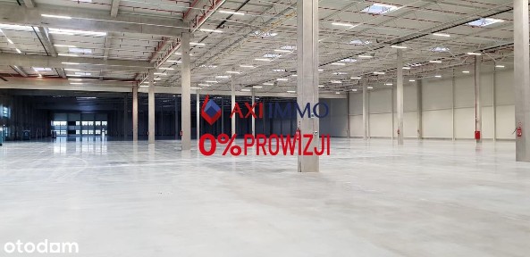 Magazyn Piotrków Trybunalski 10 000 m2 short term