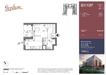 Osiedle Goplana | mieszkanie 1-pok. | G1/137