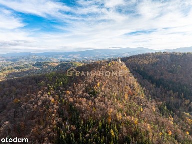 Historyczny lokal przy Chojniku! Usługi/mieszkania