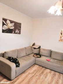 Przestronne mieszkanie na sprzedaż W Nawiadach