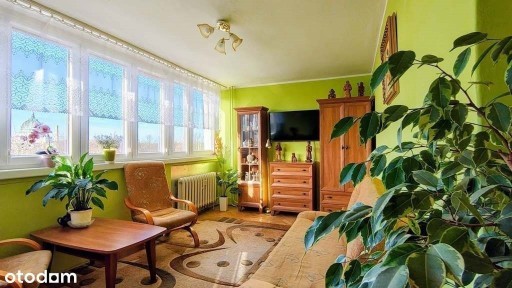 Zgorzelec, zgorzelecki, dolnośląskie