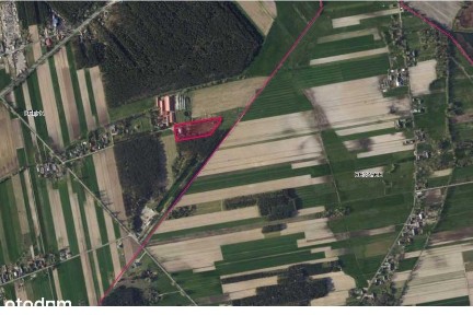 Syndyk sprzeda dom z działką w miejscowości Krępa, gm. Domaniewice