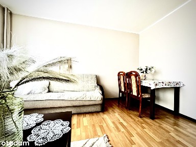 Do wynajęcia- mieszkanie w centrum Mławy, ul. Płocka