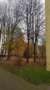 Sprzedam 4 ustawne pokoje parter niski czynsz