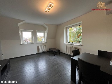 Duże mieszkanie w apartamentowcu, centrum