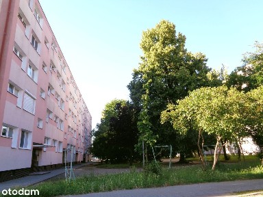 Konin, wielkopolskie