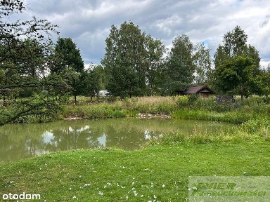 Mińsk Mazowiecki, Budy Janowskie