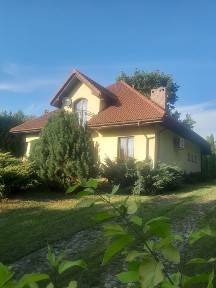 Śląskie, Dąbrowa Górnicza