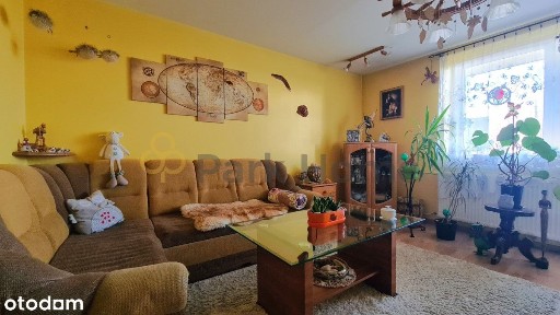 Mieszkanie 68 m² na parterze, przy jeziorze.