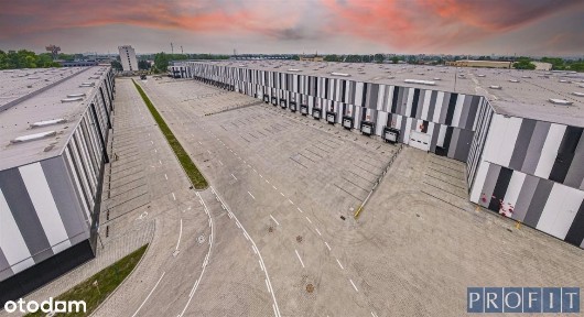 Moduł magazynowy 1000m2| poziom 0/2X dok | h:10,5m