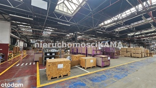 Hala/Magazyn, 6 492,37 m²