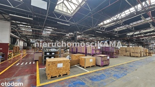 Hala/Magazyn, 6 492,37 m²