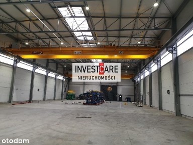 Kasprzak, Gołonóg Południowy, Dąbrowa Górnicza, śląskie