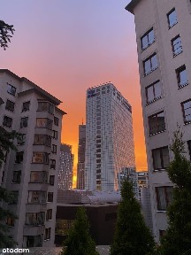 ul. Łucka, Mirów, Wola, Warszawa, mazowieckie