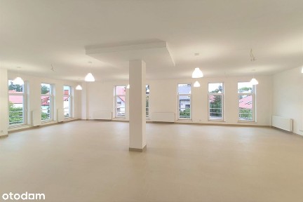 ul. Trakt Lubelski, Zerzeń, Wawer, Warszawa, mazowieckie