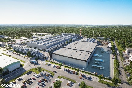 ul. Palisadowa, Placówka, Bielany, Warszawa, mazowieckie