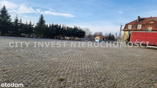 Hala/Magazyn, 4 750 m², Cybinka