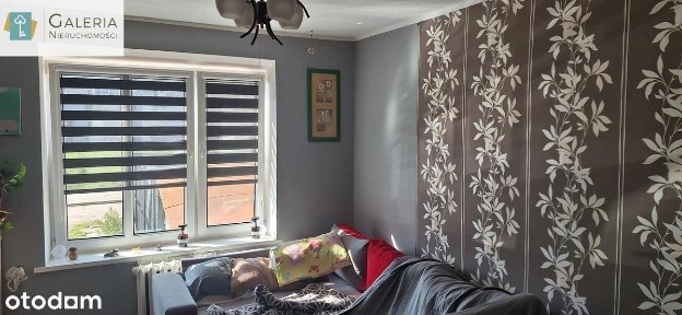 Trzy pokoje, parter, ogródek, ul. Kopernika