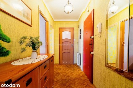 ul. Zygmunta Krasińskiego, Osiedle Paderewskiego-Muchowiec, Katowice, śląskie