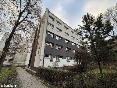 Kawalerka na 1 piętrze, do remontu, ul. Miechowity 3, Olsza